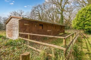 Photo 10- click for photo gallery